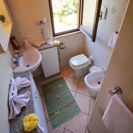 In Near White Sandy Beaches *